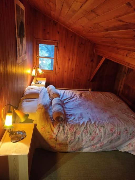 Chalet Accueillant Et Familial Saint-Martin-Vésubie Eksteriør bilde